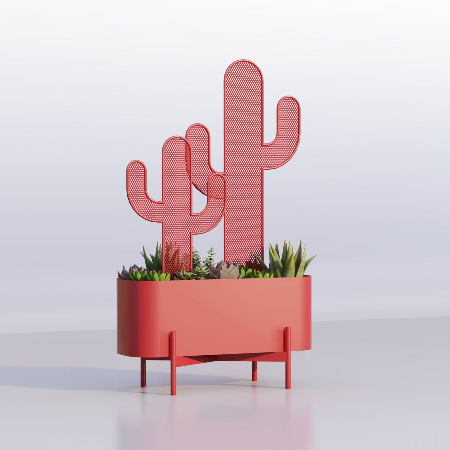 Small Cactus Planter