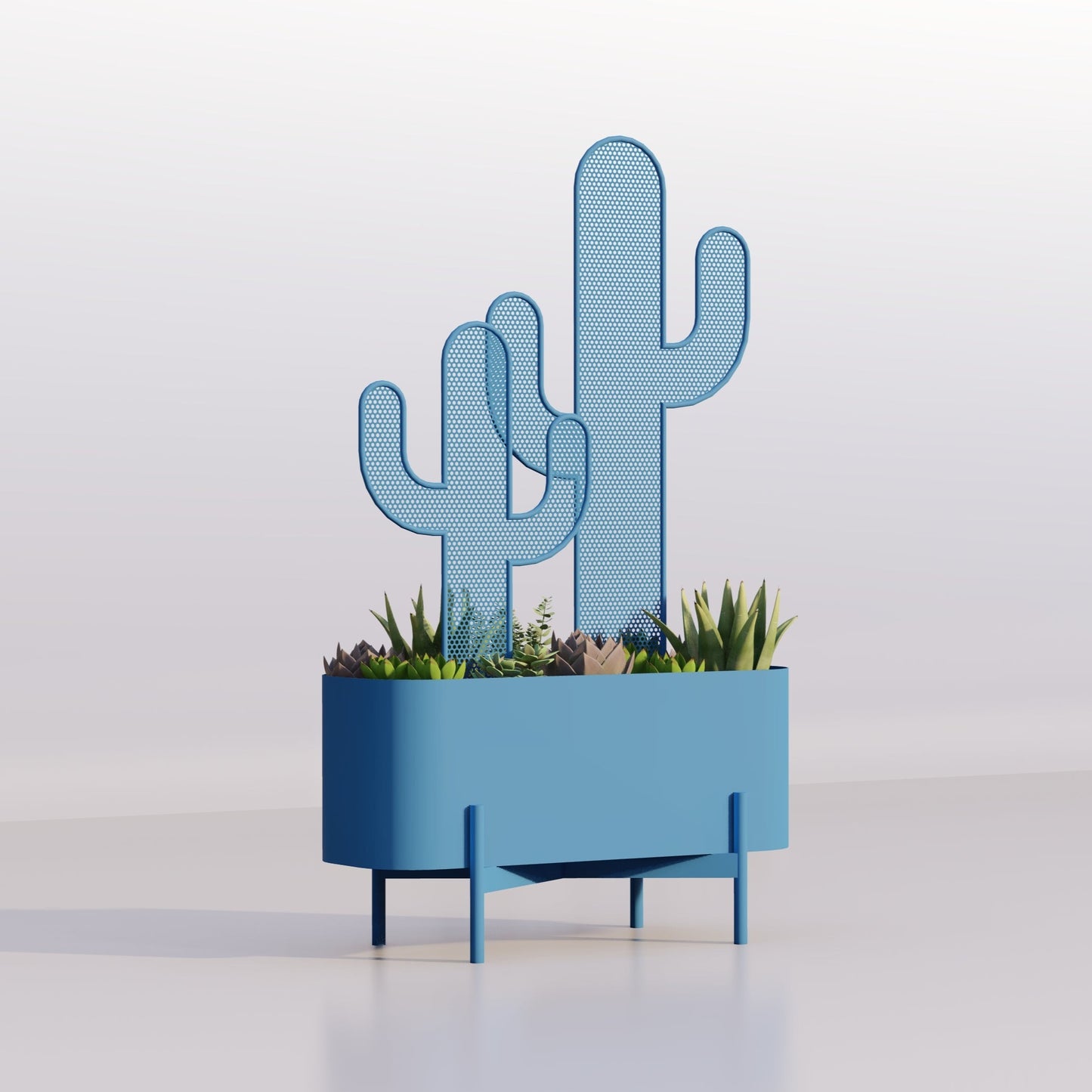 Small Cactus Planter