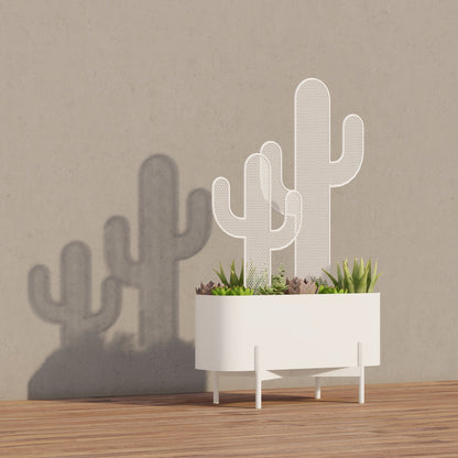 Small Cactus Planter